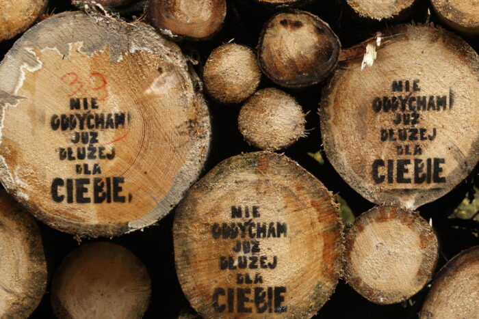 puszcza białowieska, wycinka puszczy białowieskiej, jan szyszko, ministerstwo środowiska, komisja europejska