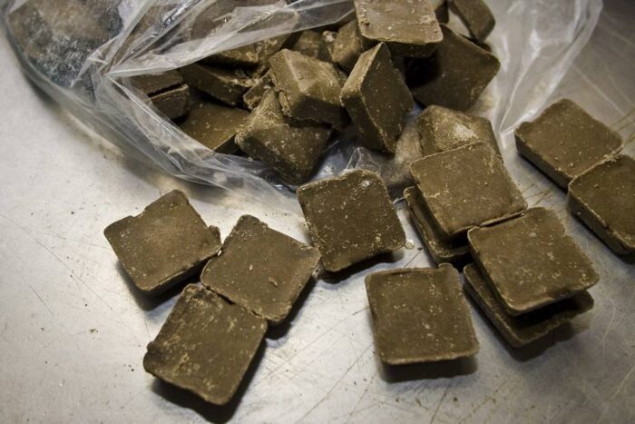 wścieklizna, szczepionka, listy, podkarpackie, dodatkowa akcja szczepienia lisów