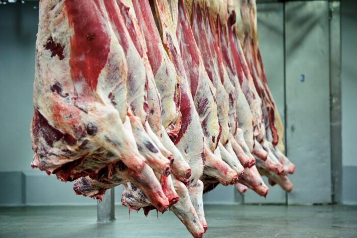 Podlaski Ośrodek Doradztwa Rolniczego, Szepietowo, Chłodnia kontenerowa, wędliny długodojrzewające