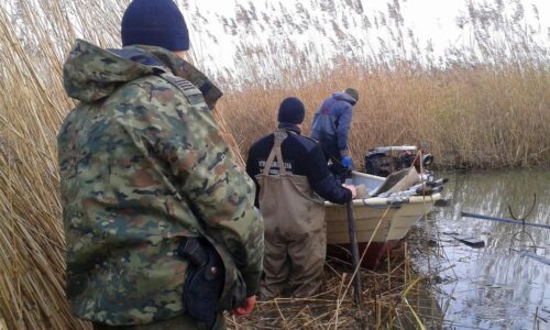 bursztyn, nielegalne wydobywanie bursztynu, zalew wiślany, straż graniczna, straż leśna, krynica morska