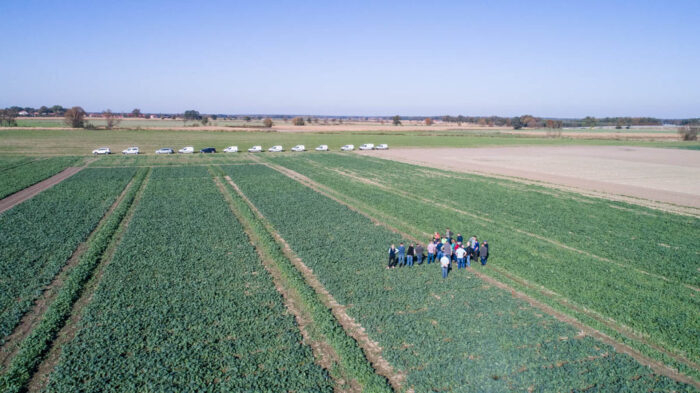 Innvigo, pole, doświadczenia