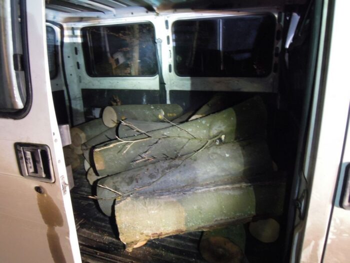 kradzież drewna, złodzieje drewna, lasy, policja, straż leśna, warmnia i mazury