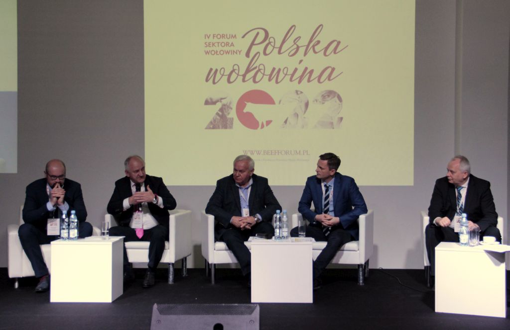 Forum Sektora Wołowiny, bydło opasowe, wołowina, producenci
