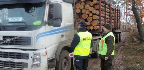 powiat chojnicki, pomorze, powalone drzewa, kradzież drewna, policja, straz leśna