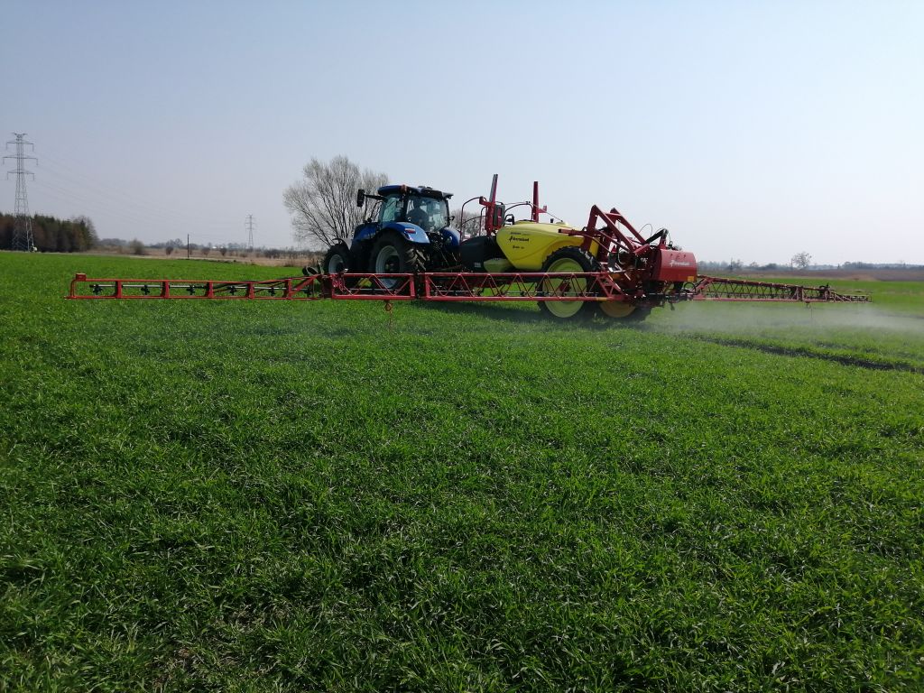 skracanie zbóż ozimych, regulacja łanu, trineksapak etylu, regulatory wzrostu, proheksadion wapnia, etefon