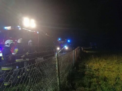 bobry, szkody wyrządzane przez bobry, małopolska, straż pożarna, brak prądu, pożar linii energetycznej