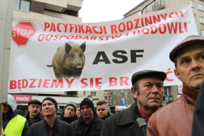 ASF, protest rolników w Warszawie, afrykański pomór świń, Sławomir Izdebski, MRiRW