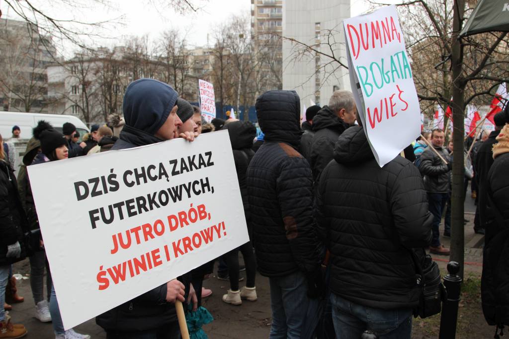 protest przed Sejmem, zakaz hodowli zwierząt futerkowych, zakaz uboju rytualnego, projekt PiS, prawo, protest