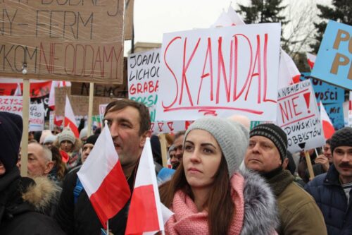 protest przed Sejmem, zakaz hodowli zwierząt futerkowych, zakaz uboju rytualnego, projekt PiS, prawo, protest