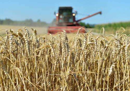 olnictwo na świecie, konferencja bayer, produkcja żywności, innowacyjność w rolnictwie