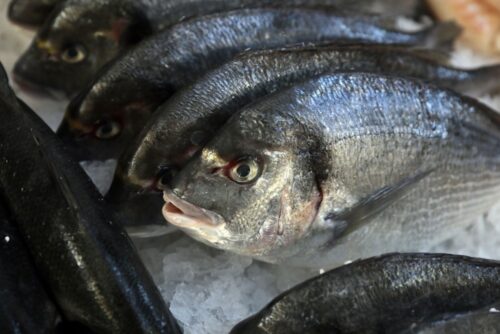 handel rybami, ryby świeże, ryby mrożone, sprzedaż ryb, kontrole uokik