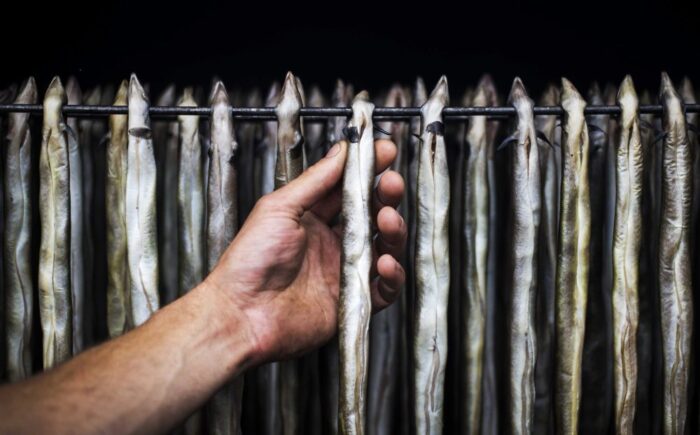 Rybołówstwo morskie, połowy ryb, morze bałtyckie, łowiska morskie, limity połowy ryb