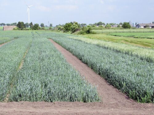 scalanie gruntów, podkarpacie, fundusze ue, prow 2014-2020, Tomasz Leyko