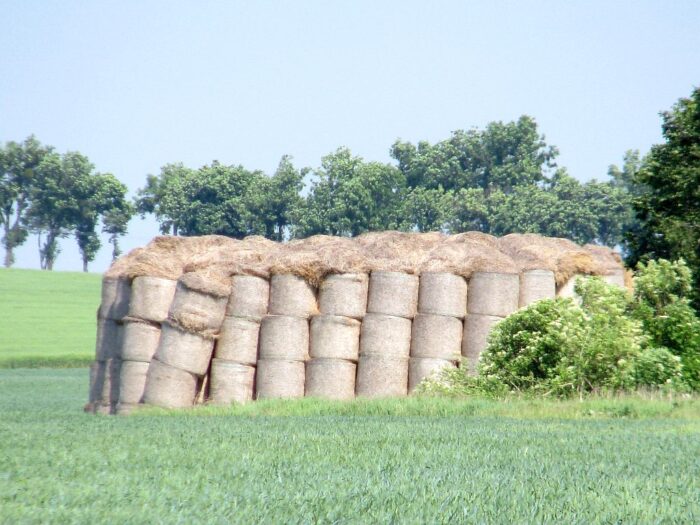 sianokiszonka, płody rolne, prawo łowieckie, krir, ministerstwo środowiska, szkody wyrządzene przez zwierzęta