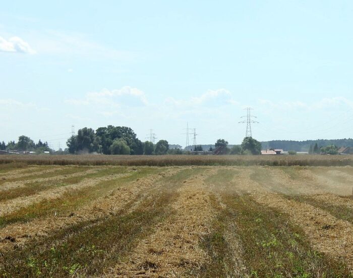 biomasa, pozostałościz produkcji rolnej, Ireneusz Zyska, MKiŚ