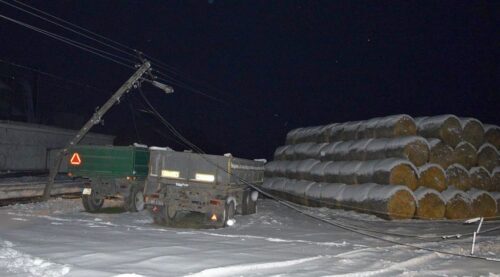 Ośrodek Hodowli Zwierząt w Pukarzowie, Lubelszczyzna, Pukarzowo, prąd zabił krowy, zwarcie instalacji