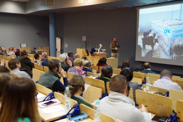 kozy, małe przeżuwacze, żywienie kóz, trouw nutrition