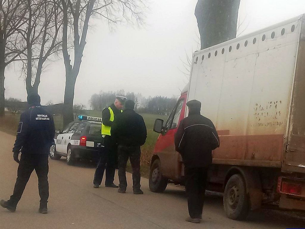 walka z asf, kontrola transportów zwierząt, transport zwierząt, policja, służby weterynaryjne