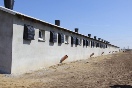 emisja azotu, trzoda chlewna, tucz, gnojowica