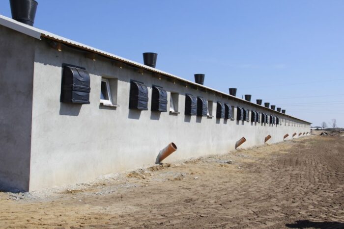 emisja azotu, trzoda chlewna, tucz, gnojowica