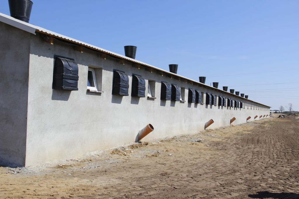 emisja azotu, trzoda chlewna, tucz, gnojowica