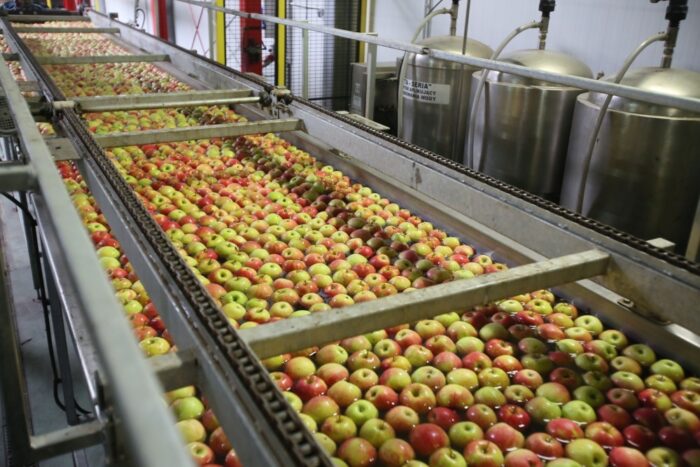 czechy, pestycydy w jabłkach, pestycycy, jabłka, propargit, Czeska Państwowa Inspekcja Rolna i Żywnościowa