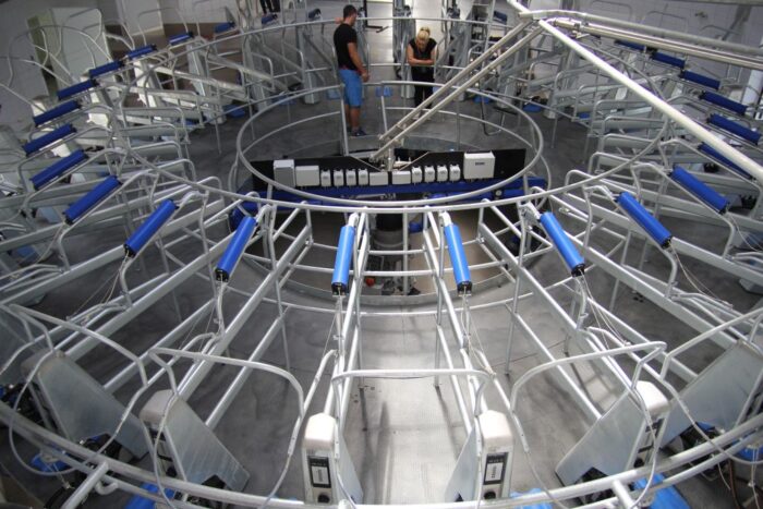 karuzela, hala udojowa, bydło mleczne, DeLaval