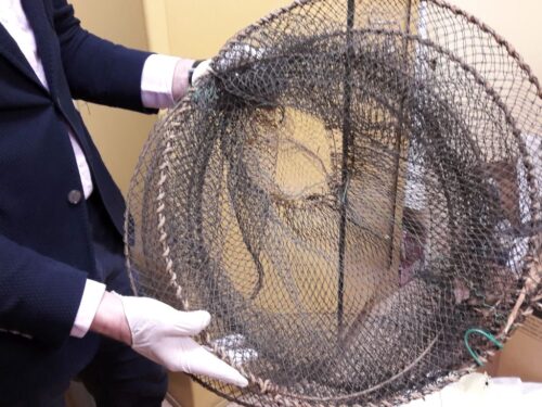 kłusownictwo, nielegalny połów ryb, Talar, powiat pabianicki