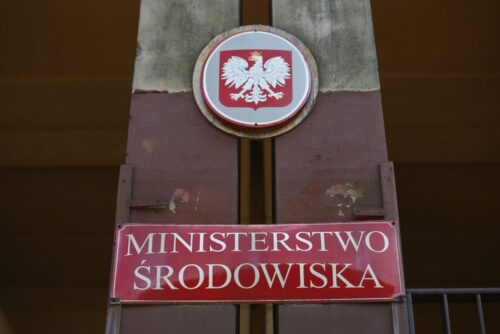 Polski Związek Łowiecki, prawo łowieckie, henryk kowalczyk, ministerstwo środowiska, odstrzał dzików, walka z asf