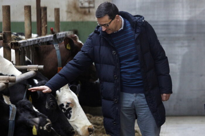 mateusz morawiecki, produkcja mleka, dostawcy mleka, Rębiszewo Studzianki, podlasie