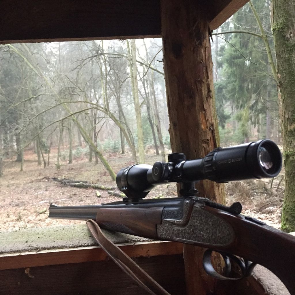 nowe prawo łowieckie, prawo łowieckie, sejm, henryk kowalczyk, ministerstwo środowiska