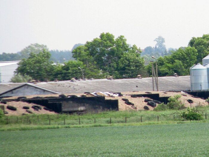 opony, zużyte opony, odpad, kara administracyjna, kiszonki, pryzmy kiszonek, PFHBiPM, Leszek Hądzlik, produkcja mleka