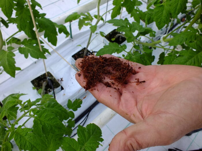 podłoża organiczne