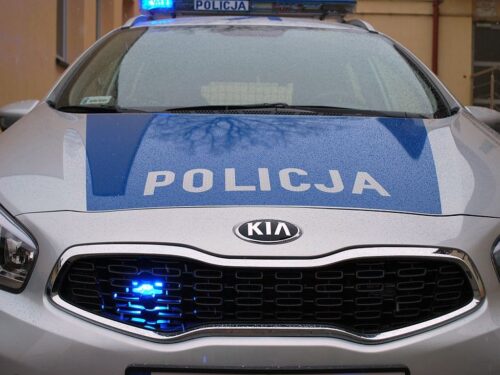 nielegalny handel cytrynami, cytrusy, cytryny, kalisz, stare babice, paserstwo