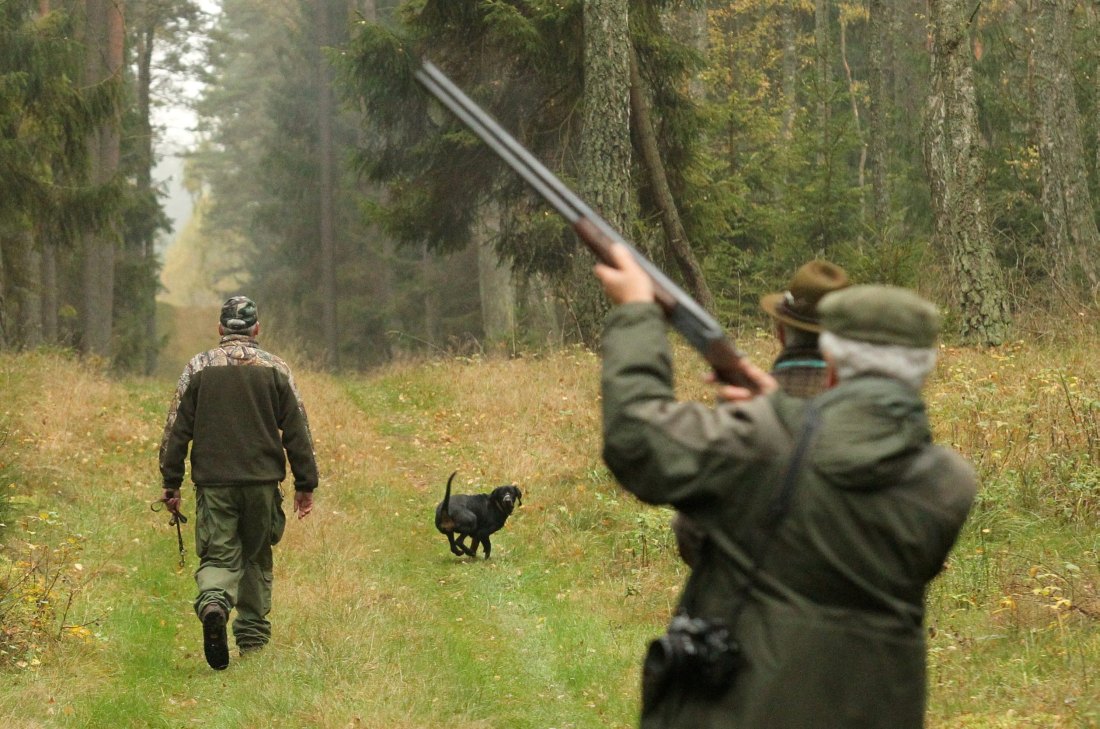 prawo łowieckie, szkody łowieckie, ministerstwo środowiska, Polski Związek Łowiecki