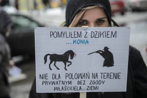 Polski Związek Łowiecki, prawo łowieckie, henryk kowalczyk, ministerstwo środowiska, ministerstwo rolnictwa