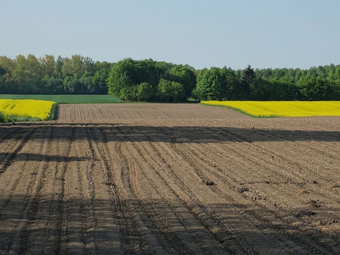 Sprzedaż państwowych nieruchomości rolnych, Zasoby Własności Rolnej Skarbu Państwa