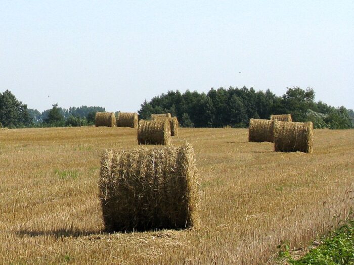 sznurek do maszyn rolniczych, stawka podatku vat za sznurek, ministerstwo finansów, mateusz morawiecki,produkcja sznurka