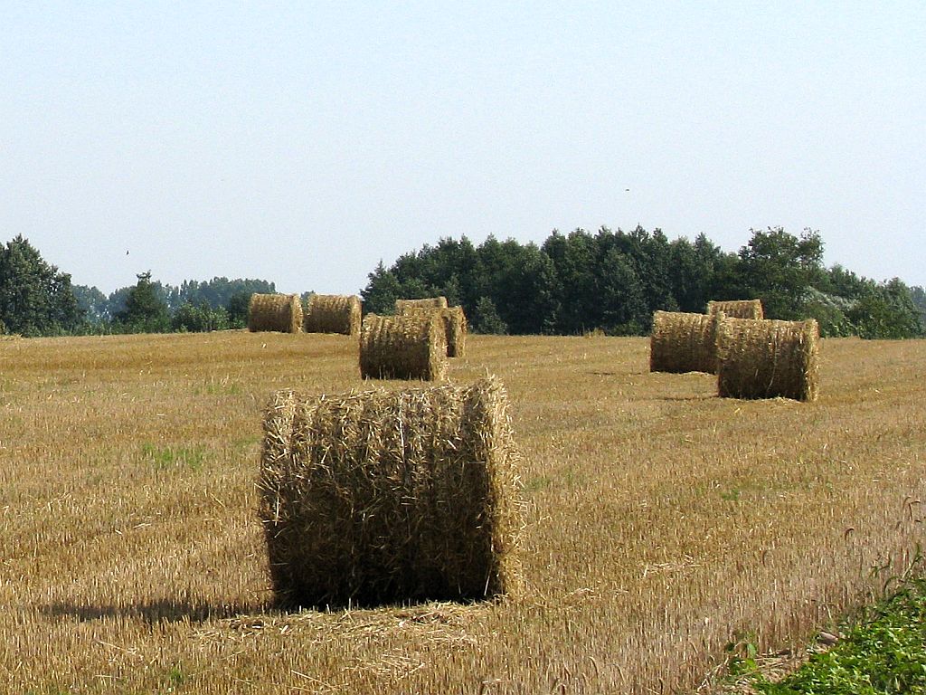 sznurek do maszyn rolniczych, stawka podatku vat za sznurek, ministerstwo finansów, mateusz morawiecki,produkcja sznurka