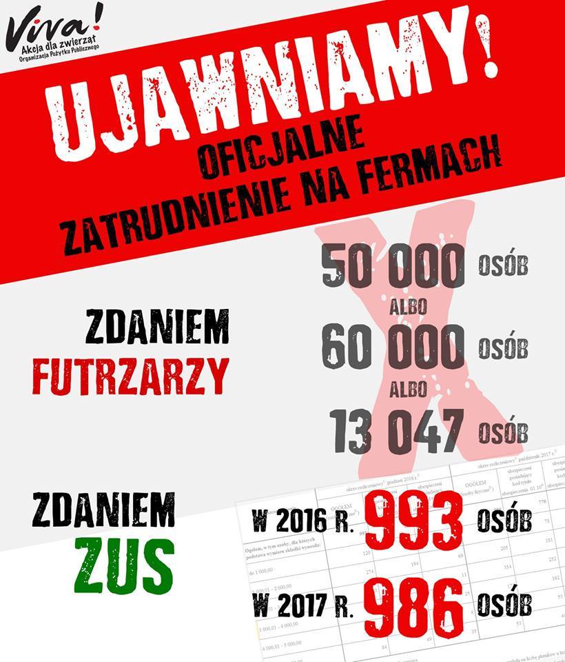 zakaz hodowli zwierząt futerkowych, prawo, przepisy, Sejm, ochrona zwierząt
