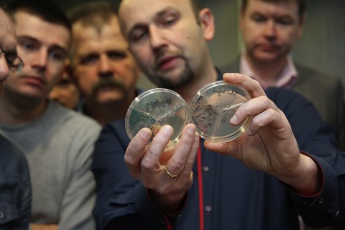 hypred, mastitis, krowy mleczne, mycie i dezynfekcja