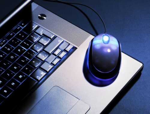 dopłaty, wnioski o dopłaty przez internet, ARiMR, pieniądze, internet