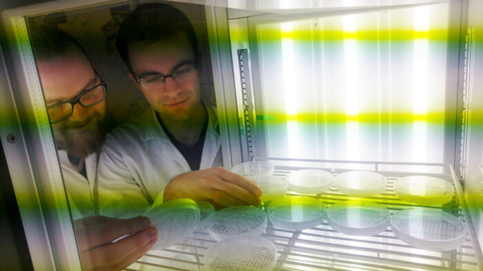 Jan Jędrzejewski, Mateusz Banach