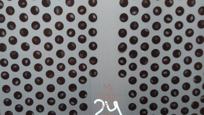 szyszki, drzewa, las, Lasy Państwowe, Leśny Bank Genów Kostrzyca