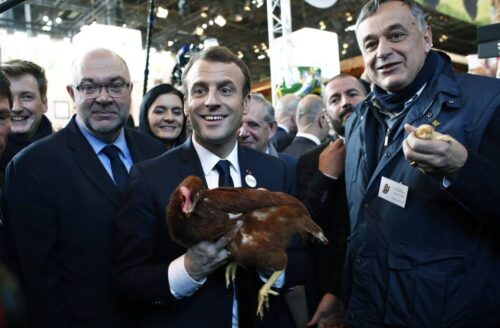 Macron, Francja, glifosat, rolnictwo we Francji, Emmanuel Macron, Mercosur