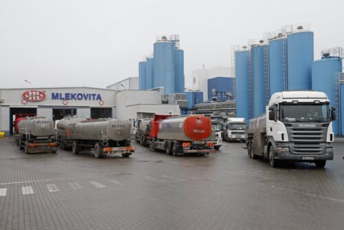 mlekovita, polskie marki, marka produkcyjna, marka mleczarska, produkty żywnościowe