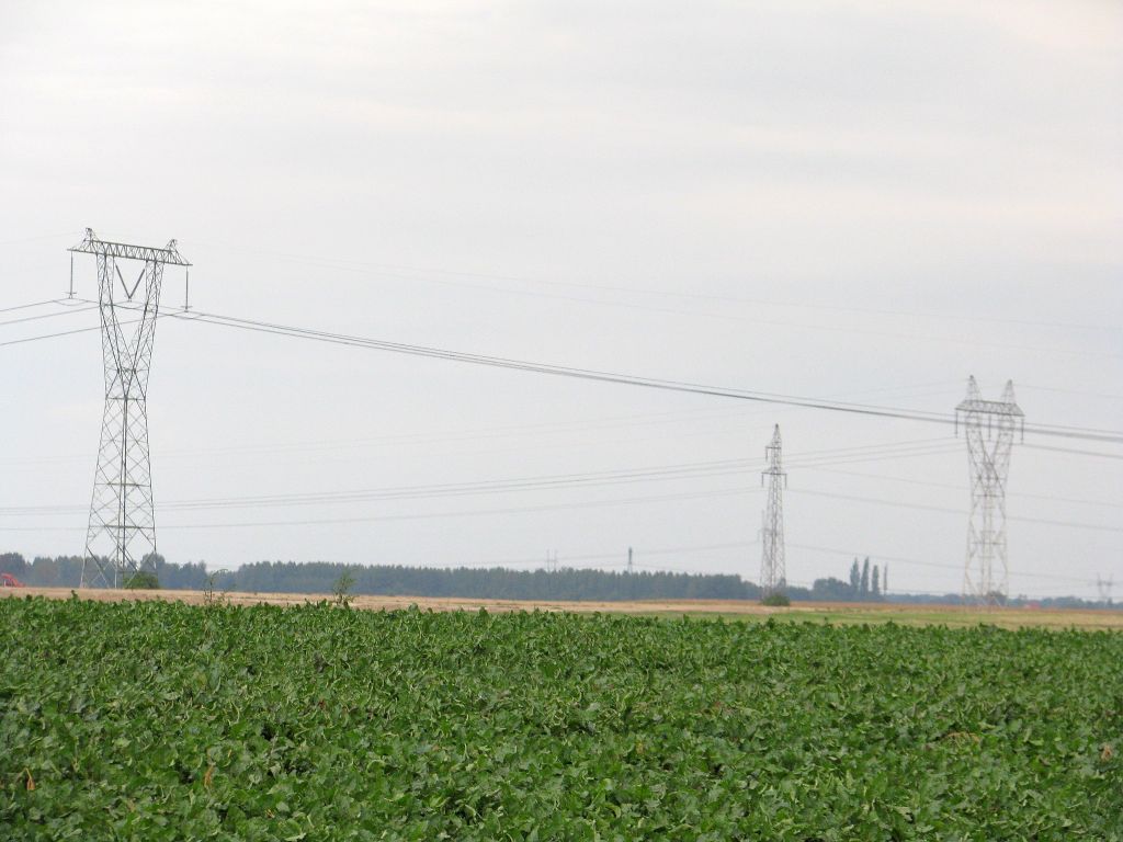 dostawy energii elektrycznej, ubustwo energetyczne kraju, linie przesyłowe, Aleksander Zaręba, NSZZ RI Solidarność
