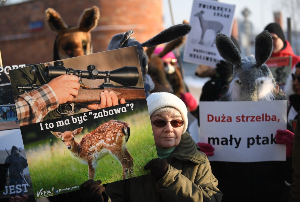 prawo łowieckie, polski związek łowiecki, organizacja Niech żyją, Paweł Średziński, Fundacja Dziedzictwo Przyrodnicze