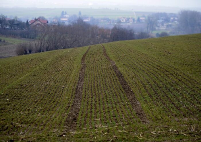 ziemia uprawna