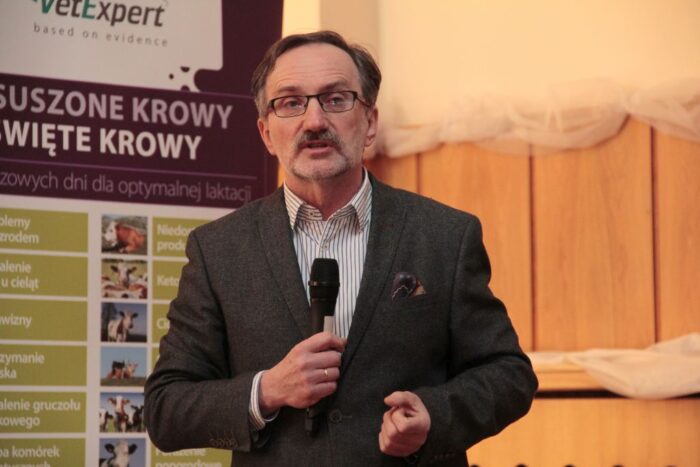 święto krowy, odchów cieląt, siara, hodowcy,